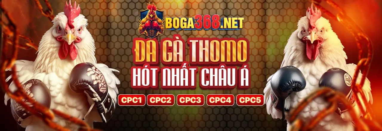 Hình ảnh tổng hợp các trò chơi đa dạng trên Nap88
